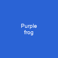 Purple frog