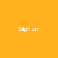 Silphium
