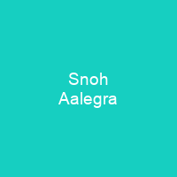 Snoh Aalegra