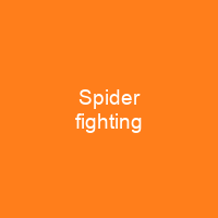 Spider fighting
