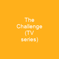 The Challenge (TV series)