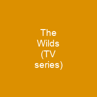 The Wilds (TV series)