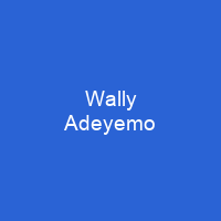 Wally Adeyemo