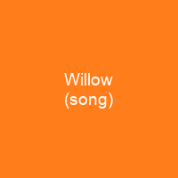 Willow (song)