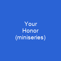Your Honor (miniseries)
