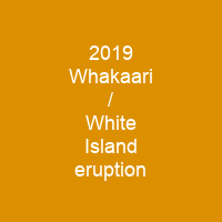 2019 Whakaari / White Island eruption