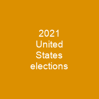 2021 United States elections
