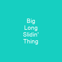 Big Long Slidin' Thing