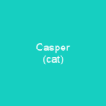 Casper (film)