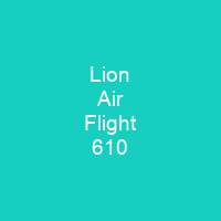 Lion Air Flight 610