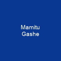 Mamitu Gashe