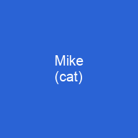 Mike (cat)