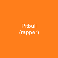 Pitbull (rapper)