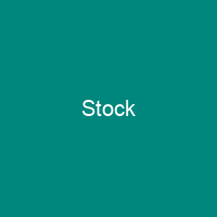 Stock