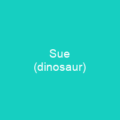 Sue (dinosaur)