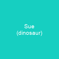 Sue (dinosaur)